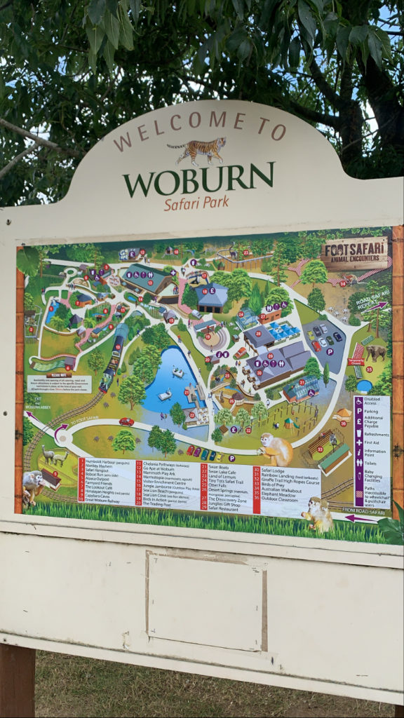 REVIEW: Everything you need to know before visiting Woburn Safari